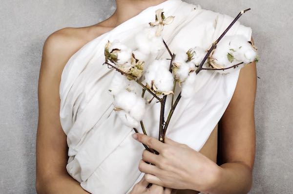 Top 3 Reasons Why Customers Choose Bhumi