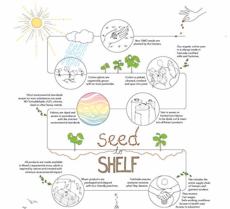 Journey From Seed to Shelf